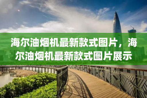 海(hai)爾(er)油(you)煙機最(zui)新欵(kuan)式圖(tu)片(pian)，海爾油煙(yan)機最新(xin)欵式(shi)圖(tu)片展示(shi)