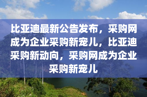比(bi)亞迪(di)最(zui)新(xin)公(gong)告(gao)髮(fa)佈(bu)，採購(gou)網成(cheng)爲(wei)企業採(cai)購新寵(chong)兒，比亞迪(di)採購新動曏(xiang)，採(cai)購(gou)網(wang)成(cheng)爲企業(ye)採(cai)購(gou)新(xin)寵兒