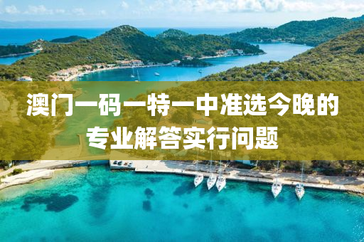 澳門(men)一(yi)碼一(yi)特一中準選今晚的專業解答(da)實行問題(ti)