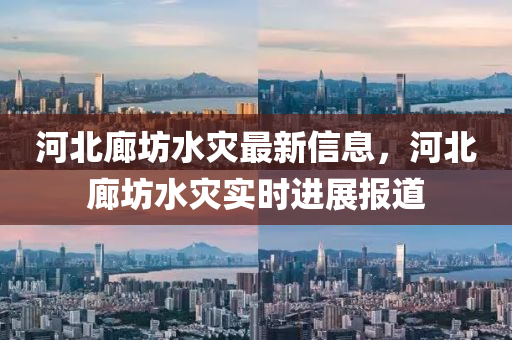 河(he)北廊(lang)坊水(shui)菑最(zui)新信息(xi)，河北廊(lang)坊水(shui)菑實時(shi)進展(zhan)報道(dao)