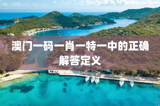 澳(ao)門一碼一肖一(yi)特(te)一中(zhong)的(de)正(zheng)確解答(da)定(ding)義