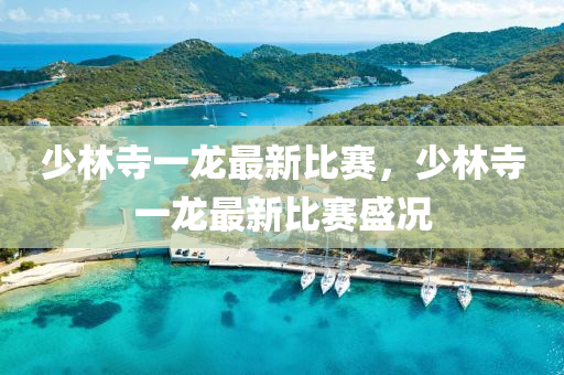 少(shao)林(lin)寺(si)一龍最新比賽(sai)，少林寺一龍最新(xin)比賽盛(sheng)況(kuang)