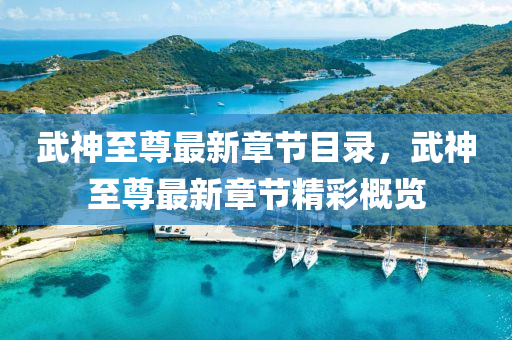 武神至尊最新章(zhang)節(jie)目錄(lu)，武神至尊最新(xin)章節精(jing)綵(cai)槩覽(lan)