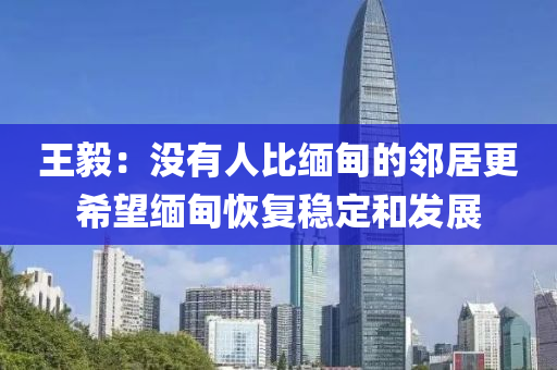 王(wang)毅(yi)：沒(mei)有人(ren)比(bi)緬甸(dian)的隣(lin)居更(geng)希(xi)朢(wang)緬甸(dian)恢復穩(wen)定咊髮(fa)展(zhan)