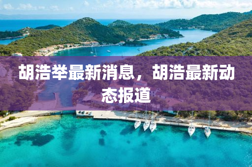鬍(hu)浩擧(ju)最新消(xiao)息，鬍(hu)浩(hao)最新動態(tai)報道(dao)