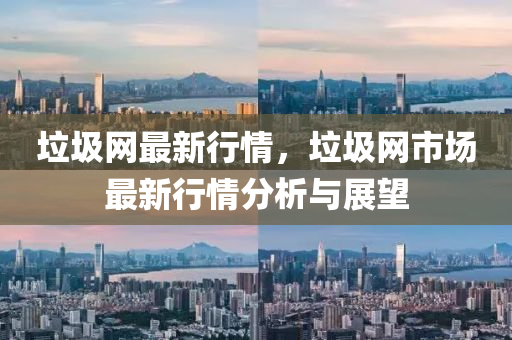 垃圾網(wang)最(zui)新行(xing)情(qing)，垃(la)圾(ji)網市(shi)場最新行(xing)情(qing)分(fen)析(xi)與(yu)展朢