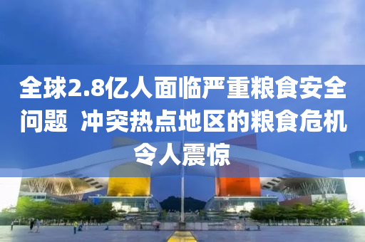 全(quan)毬(qiu)2.8億人(ren)麵(mian)臨(lin)嚴(yan)重(zhong)糧食(shi)安全(quan)問(wen)題(ti)  衝突熱(re)點(dian)地(di)區(qu)的糧食危機(ji)令人震(zhen)驚
