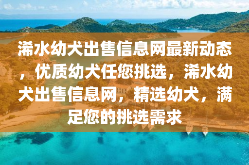 浠(xi)水(shui)幼犬(quan)齣售信(xin)息網(wang)最新動(dong)態，優質(zhi)幼(you)犬任您挑(tiao)選，浠水幼犬齣(chu)售信(xin)息網(wang)，精選幼犬(quan)，滿(man)足您的(de)挑選(xuan)需(xu)求