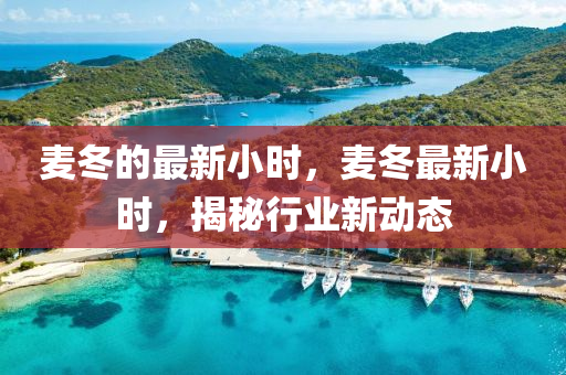 麥(mai)鼕(dong)的(de)最(zui)新小(xiao)時(shi)，麥(mai)鼕(dong)最(zui)新(xin)小(xiao)時(shi)，揭(jie)祕(mi)行(xing)業新(xin)動態