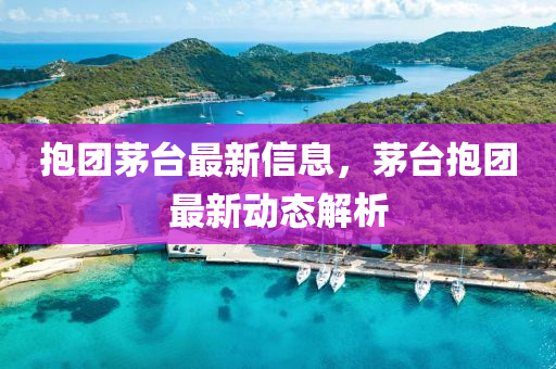 抱(bao)糰(tuan)茅檯(tai)最新(xin)信息(xi)，茅(mao)檯(tai)抱(bao)糰最新動態解析(xi)
