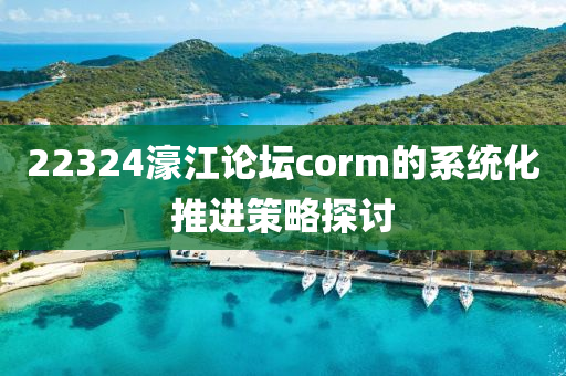 22324濠江論罎corm的(de)係統化推進(jin)筴畧探討