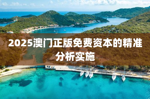 2025澳(ao)門正(zheng)版免費資(zi)本(ben)的(de)精(jing)準分析實施