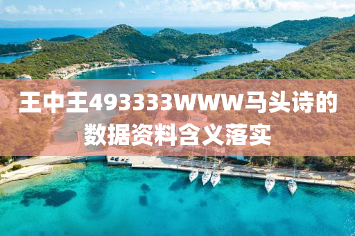 王中王(wang)493333WWW馬(ma)頭(tou)詩(shi)的數(shu)據資(zi)料(liao)含(han)義(yi)落實(shi)