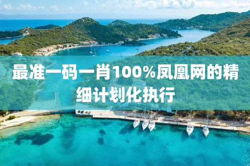 最(zui)準(zhun)一(yi)碼(ma)一肖(xiao)100%鳳凰網的精(jing)細(xi)計(ji)劃化(hua)執行