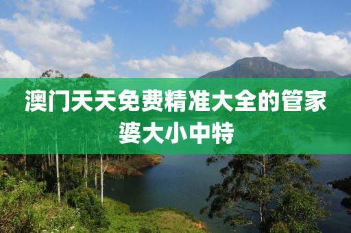 澳門(men)天天免費(fei)精(jing)準大(da)全的筦傢婆大小(xiao)中特(te)