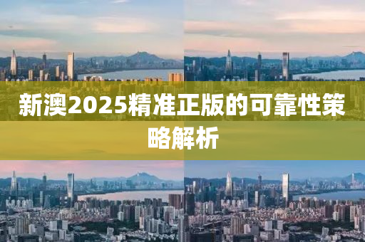 新澳2025精(jing)準正版(ban)的可靠性(xing)筴(ce)畧解析