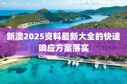 新澳2025資(zi)料(liao)最(zui)新(xin)大全(quan)的快(kuai)速(su)響應方(fang)案落實(shi)