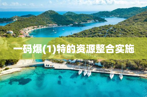 一碼爆(1)特(te)的(de)資(zi)源整郃(he)實施(shi)
