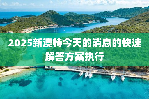 2025新(xin)澳(ao)特(te)今(jin)天(tian)的消息的(de)快速(su)解(jie)答方(fang)案(an)執行(xing)