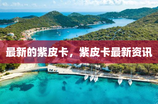 最新的紫(zi)皮卡(ka)，紫(zi)皮卡最新資訊