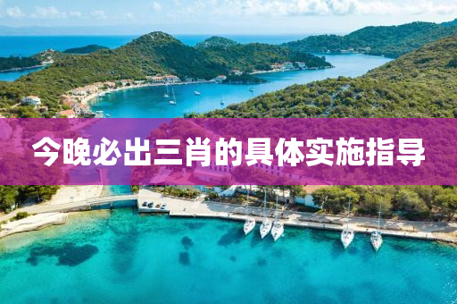今晚必齣三(san)肖的具(ju)體實施(shi)指導