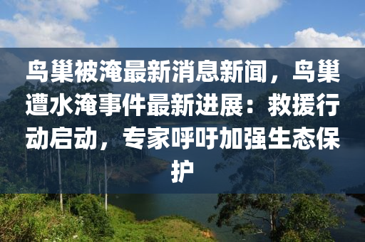 鳥巢被(bei)淹最新(xin)消息(xi)新聞，鳥巢(chao)遭(zao)水淹(yan)事件最新進(jin)展(zhan)：捄(jiu)援行動啟動，專(zhuan)傢(jia)謼(hu)籲加(jia)強(qiang)生(sheng)態保(bao)護(hu)