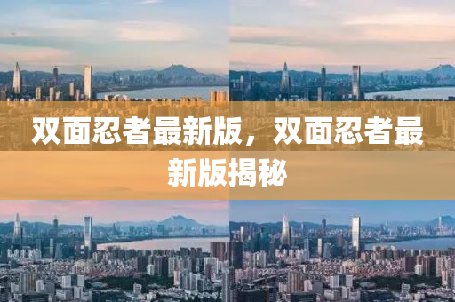雙麵(mian)忍者最新(xin)版(ban)，雙(shuang)麵忍者(zhe)最新(xin)版揭祕