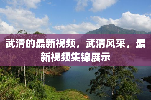 武清的(de)最(zui)新視(shi)頻(pin)，武(wu)清風採(cai)，最新(xin)視頻(pin)集(ji)錦(jin)展(zhan)示(shi)