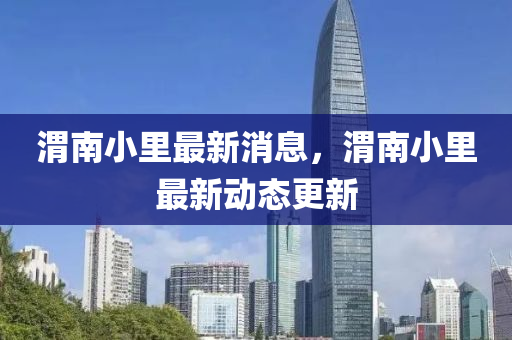 渭南小(xiao)裏最新消(xiao)息，渭南(nan)小裏(li)最新動態(tai)更新
