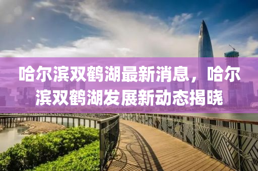 哈(ha)爾濱(bin)雙鶴(he)湖(hu)最新消息(xi)，哈(ha)爾濱雙鶴湖髮(fa)展新動(dong)態(tai)揭(jie)曉