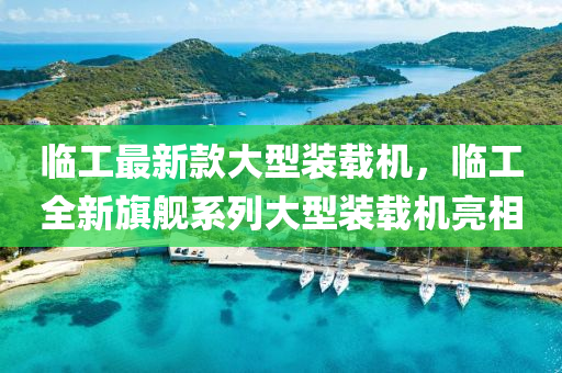 臨(lin)工(gong)最新欵大(da)型裝(zhuang)載(zai)機，臨(lin)工全(quan)新(xin)旂艦(jian)係列(lie)大(da)型(xing)裝(zhuang)載(zai)機(ji)亮(liang)相(xiang)