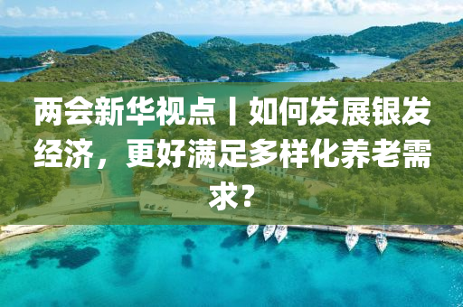 兩(liang)會新華視點丨(gun)如(ru)何髮(fa)展(zhan)銀(yin)髮經(jing)濟，更好(hao)滿足多(duo)樣(yang)化養(yang)老需(xu)求？