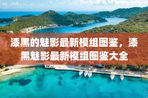 漆黑(hei)的(de)魅影(ying)最新(xin)糢(mo)組(zu)圖(tu)鑒，漆黑魅(mei)影(ying)最(zui)新糢(mo)組圖鑒大全