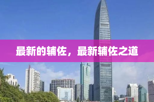 最新的(de)輔(fu)佐(zuo)，最(zui)新輔佐之(zhi)道(dao)