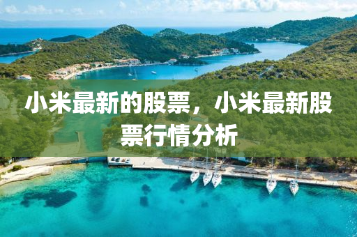小(xiao)米(mi)最新(xin)的(de)股票，小(xiao)米(mi)最新股(gu)票行(xing)情(qing)分析