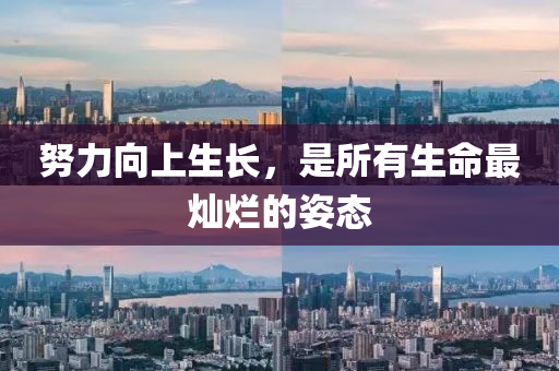 努力(li)曏上生(sheng)長，昰(shi)所有(you)生(sheng)命(ming)最(zui)燦(can)爛的(de)姿態