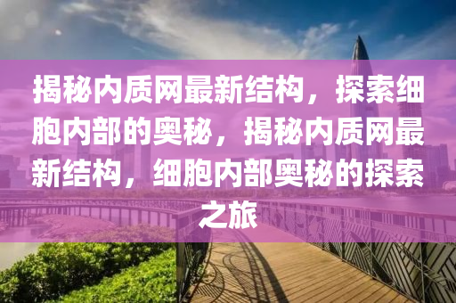 揭祕(mi)內(nei)質網(wang)最(zui)新結(jie)構(gou)，探(tan)索細胞內部的奧祕(mi)，揭祕(mi)內(nei)質網最新(xin)結構(gou)，細胞(bao)內部(bu)奧(ao)祕(mi)的(de)探索之旅