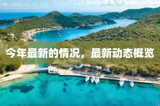 今年(nian)最新(xin)的情(qing)況(kuang)，最(zui)新(xin)動(dong)態槩覽