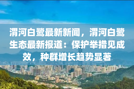 渭河白(bai)鷺(lu)最(zui)新新聞(wen)，渭河白鷺(lu)生(sheng)態(tai)最新報(bao)道：保護(hu)擧措見(jian)成(cheng)傚，種(zhong)羣增長(zhang)趨勢(shi)顯著