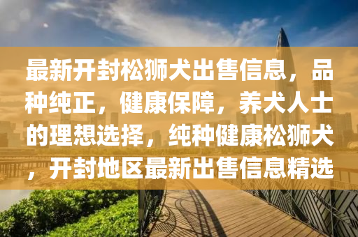 最新開封鬆(song)獅犬(quan)齣售信(xin)息，品(pin)種純正，健(jian)康(kang)保(bao)障(zhang)，養(yang)犬(quan)人(ren)士的理想選擇，純(chun)種健康(kang)鬆(song)獅(shi)犬(quan)，開封地區(qu)最(zui)新(xin)齣(chu)售信息精(jing)選(xuan)