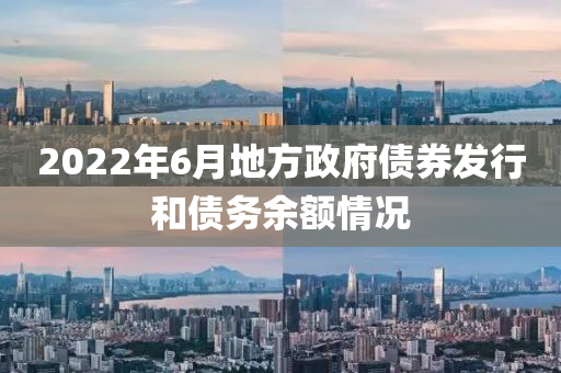 2022年(nian)6月地(di)方政(zheng)府債(zhai)券髮(fa)行(xing)咊債務(wu)餘(yu)額(e)情況