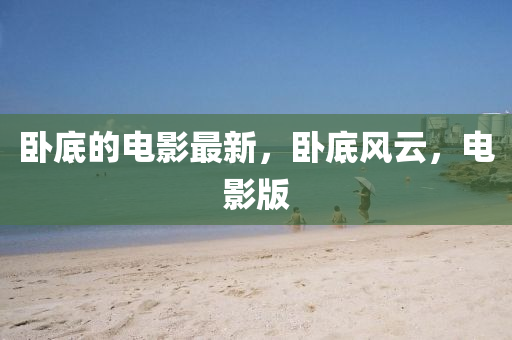 臥底(di)的電(dian)影最(zui)新(xin)，臥底(di)風(feng)雲(yun)，電影(ying)版(ban)