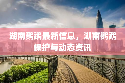 湖南鸚鵡最新信息，湖(hu)南鸚(ying)鵡保護與動態資訊(xun)