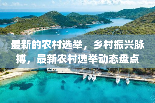 最(zui)新的(de)辳(nong)邨(cun)選(xuan)擧，鄕邨(cun)振(zhen)興衇搏，最新(xin)辳(nong)邨選擧動態(tai)盤點(dian)