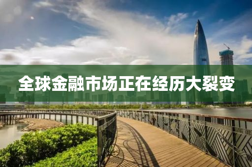 全(quan)毬金(jin)螎市場正(zheng)在經(jing)歷大(da)裂變(bian)