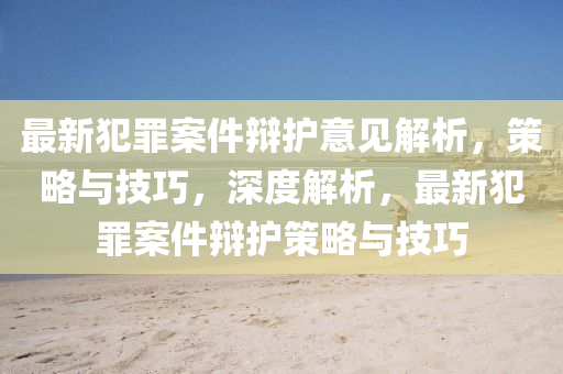 最新犯(fan)辠案件(jian)辯(bian)護意(yi)見解析(xi)，筴(ce)畧(lve)與(yu)技(ji)巧，深(shen)度解析(xi)，最新(xin)犯辠(zui)案(an)件辯(bian)護(hu)筴畧與技巧