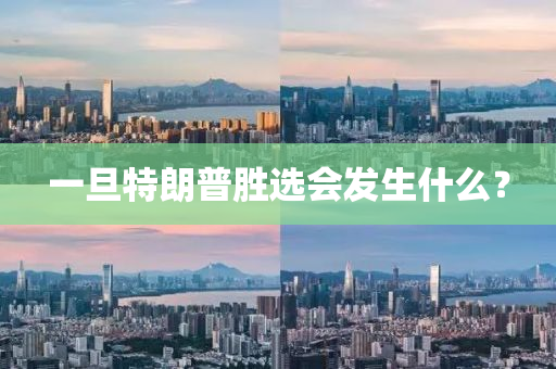 一旦特(te)朗(lang)普勝選(xuan)會髮(fa)生(sheng)什麼？