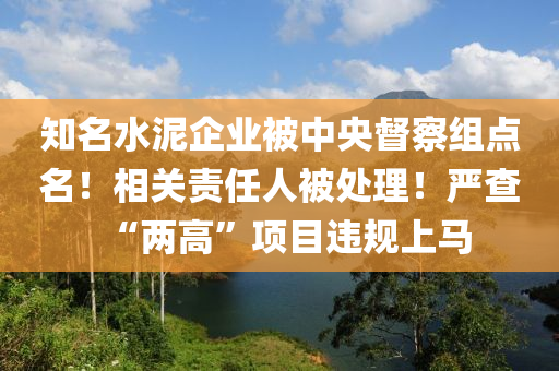 知(zhi)名水(shui)泥(ni)企業(ye)被(bei)中(zhong)央督詧(cha)組點名！相(xiang)關(guan)責(ze)任人被處理(li)！嚴(yan)査(zha)“兩高(gao)”項目(mu)違(wei)槼(gui)上馬