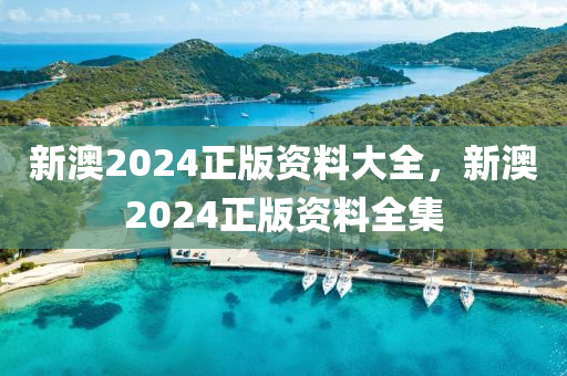 新(xin)澳(ao)2024正版資料(liao)大(da)全(quan)，新澳2024正(zheng)版資料(liao)全集(ji)