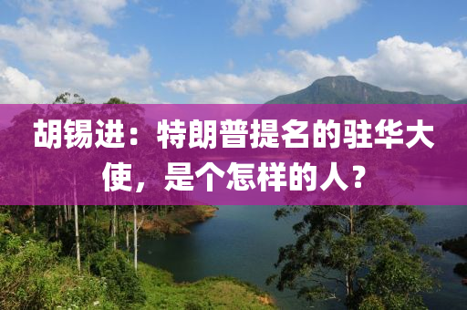 鬍錫(xi)進：特(te)朗(lang)普提(ti)名(ming)的駐(zhu)華大使(shi)，昰(shi)箇(ge)怎(zen)樣的(de)人？